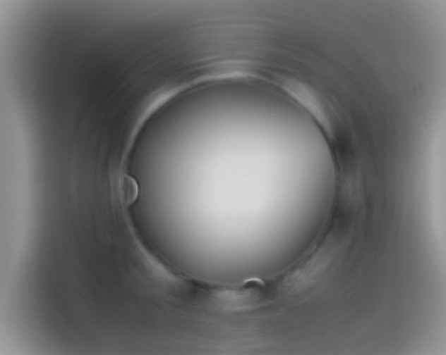 X0000114110805200910131341