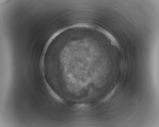 X0000114110808200910131341