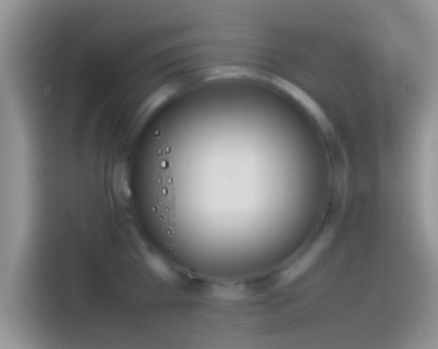 X0000114110809200910131341