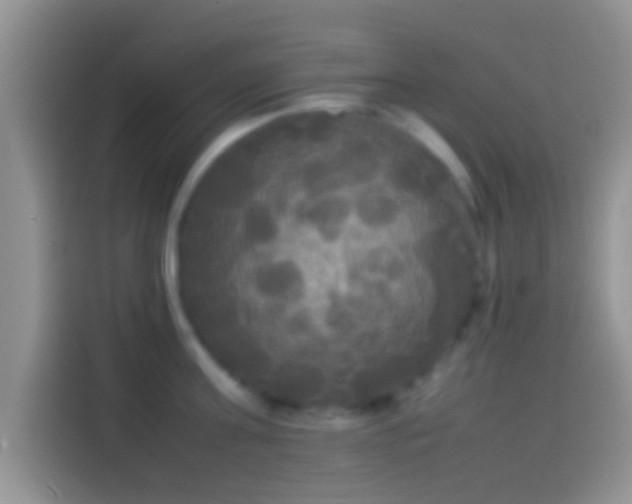 X0000114110811200910131341