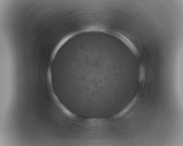 X0000114110812200910131341