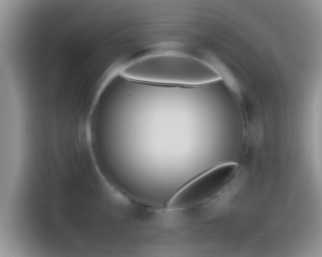 X0000114110813200910131341