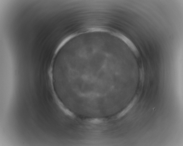 X0000114110814200910131341