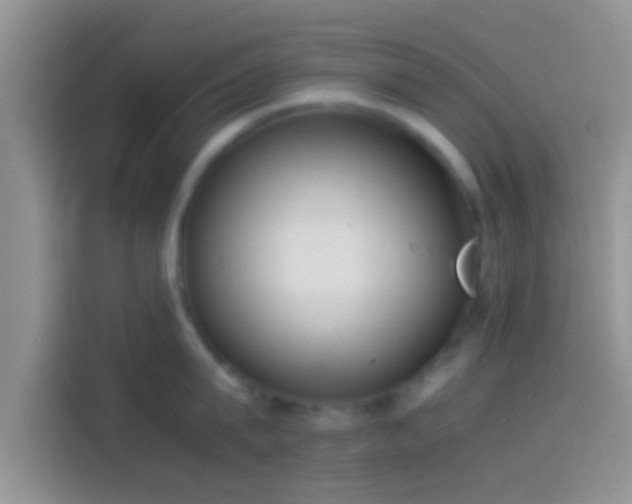 X0000114110815200910131341