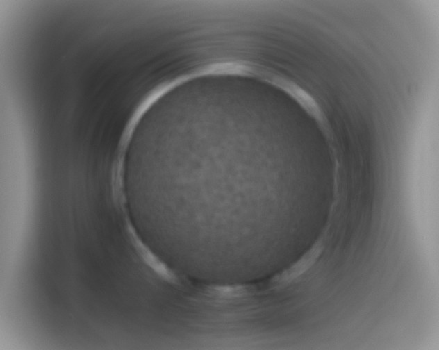 X0000114110816200910131341