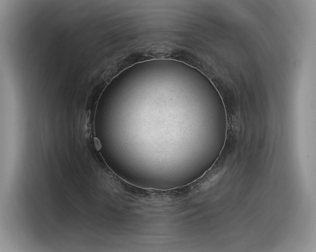X0000114110818200910131341