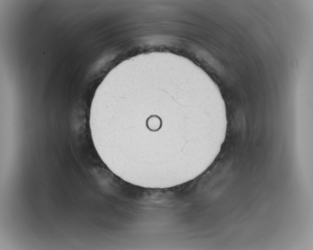 X0000114110824200910131341