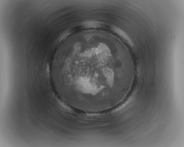 X0000114110825200910131341