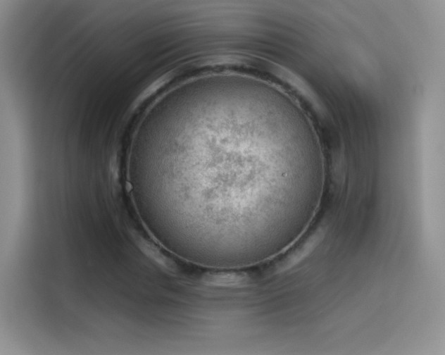 X0000114110826200910131341