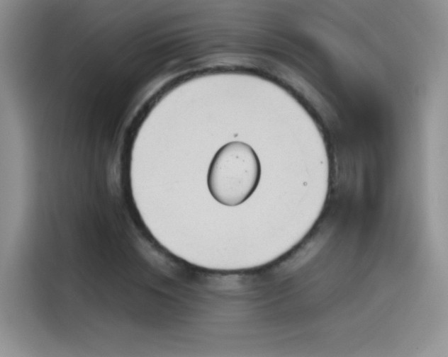X0000114110828200910131341