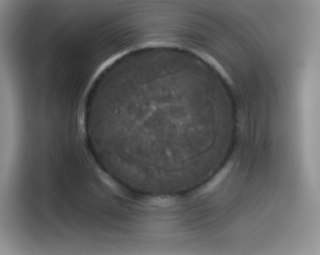 X0000114110830200910131341