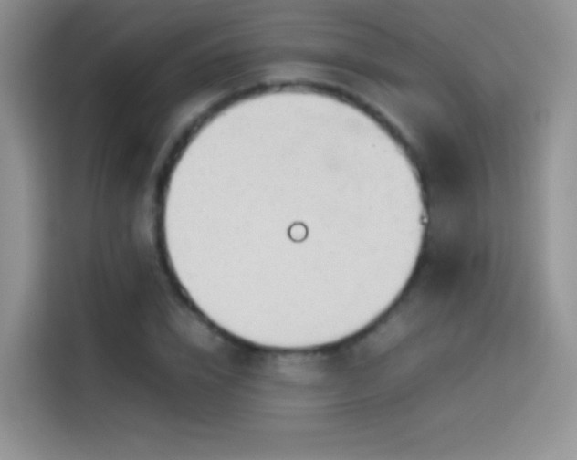 X0000114110832200910131341