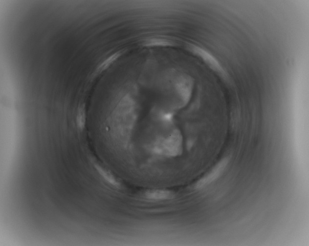 X0000114110833200910131341