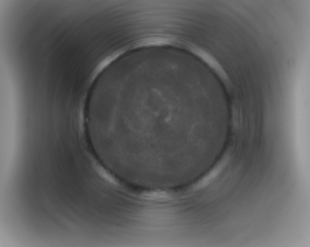 X0000114110834200910131341