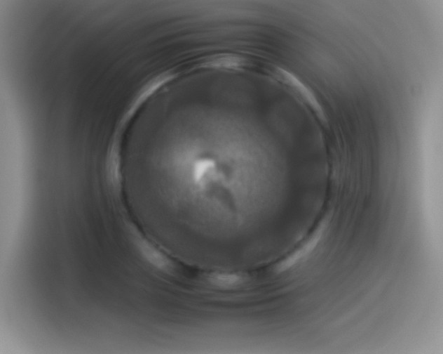X0000114110835200910131341