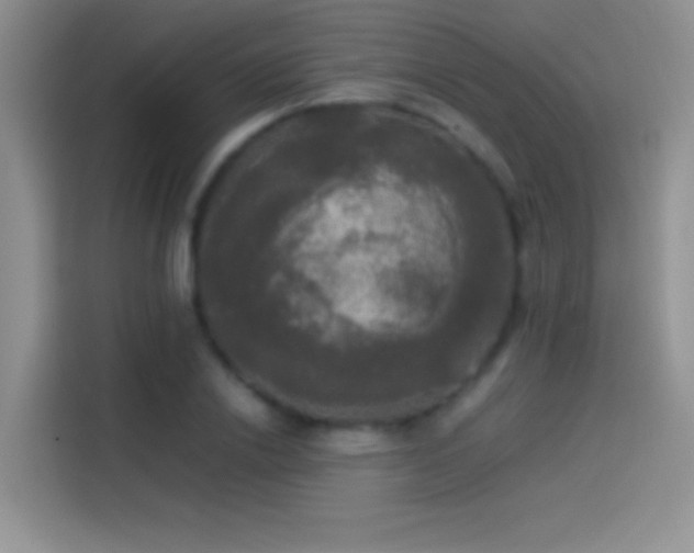 X0000114110838200910131341