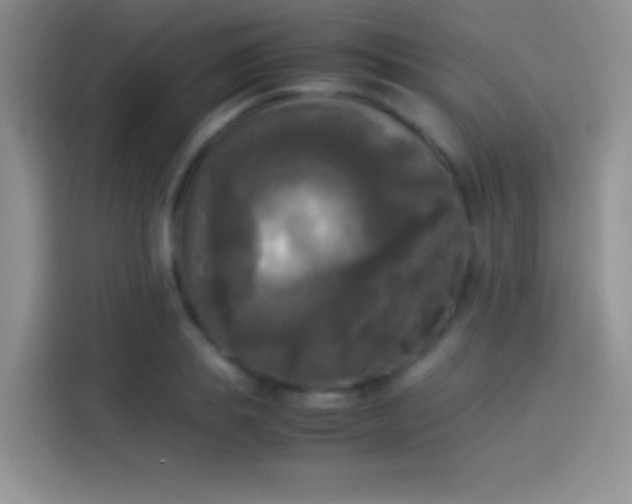X0000114110839200910131341