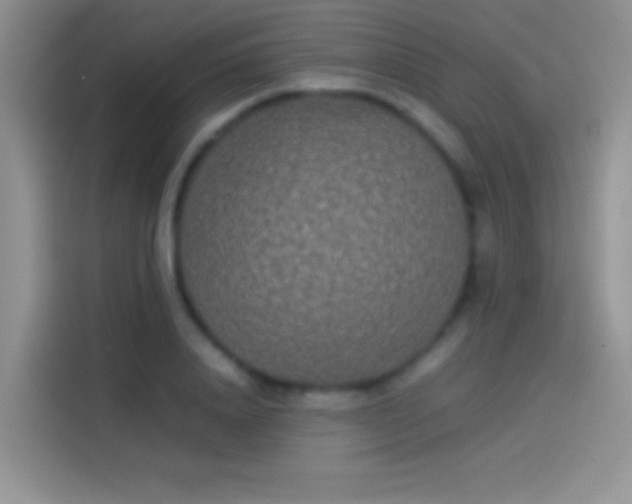 X0000114110840200910131341