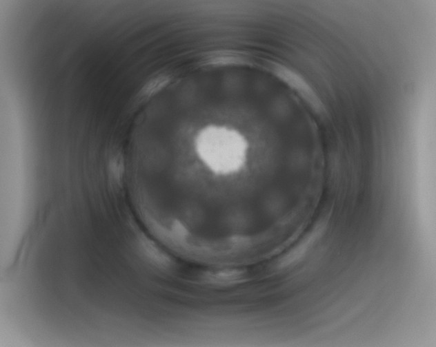X0000114110841200910131341