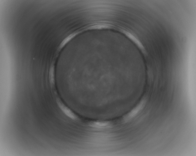 X0000114110842200910131341