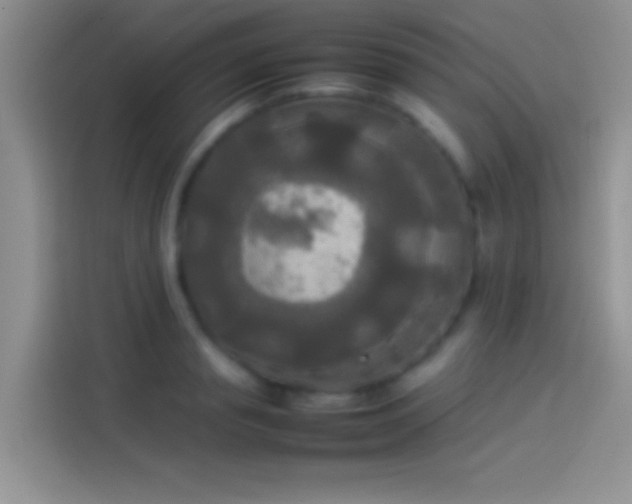 X0000114110845200910131341
