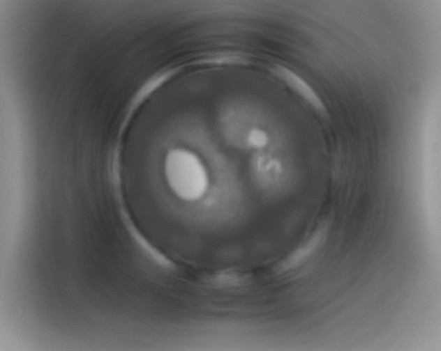X0000114110847200910131341