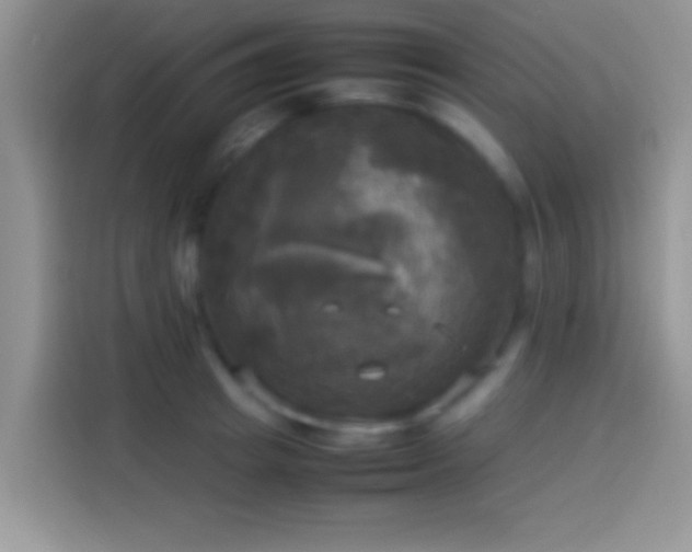 X0000114110849200910131341