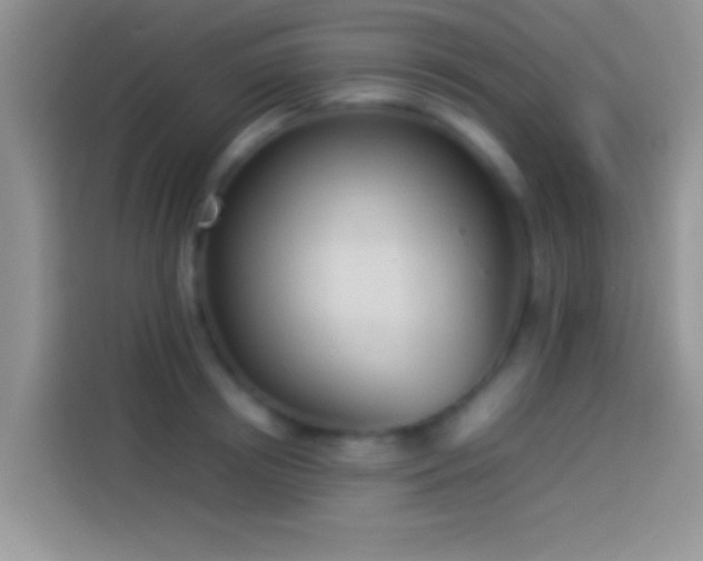 X0000114110850200910131341
