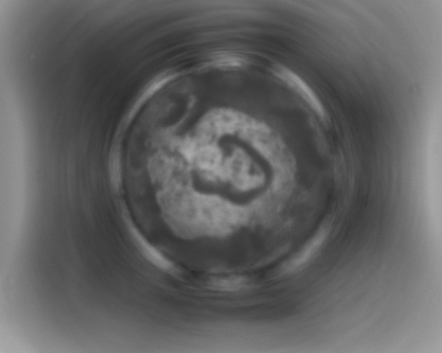 X0000114110851200910131341