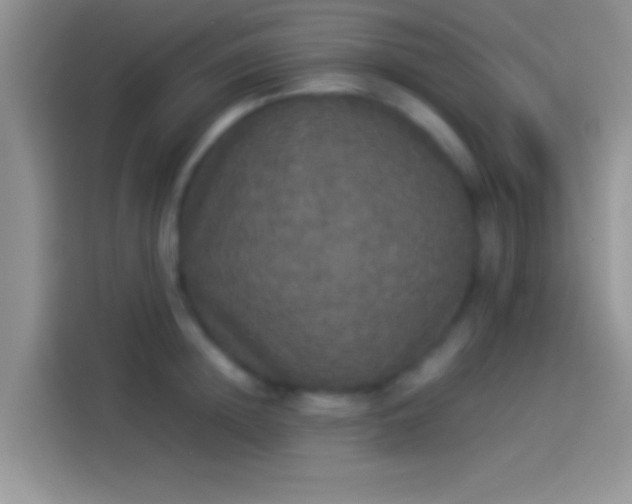 X0000114110852200910131341