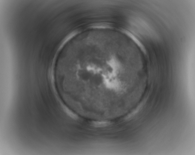 X0000114110853200910131341