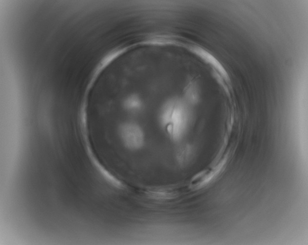 X0000114110855200910131341