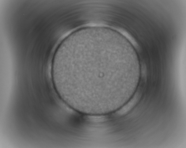 X0000114110856200910131341