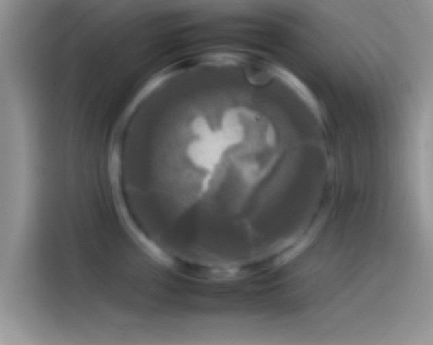 X0000114110859200910131341