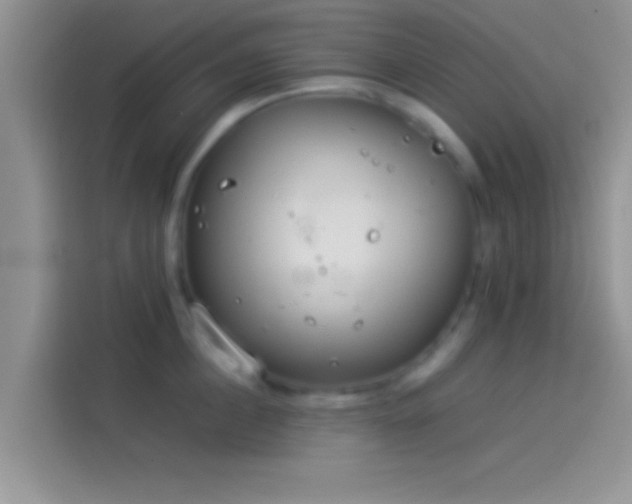 X0000114110860200910131341