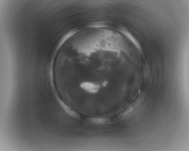 X0000114110861200910131341