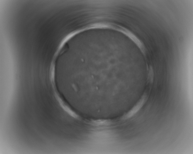 X0000114110862200910131341