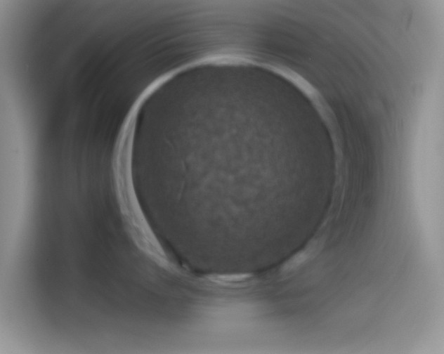 X0000114110864200910131341