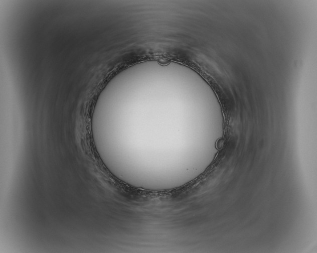 X0000114110865200910131341