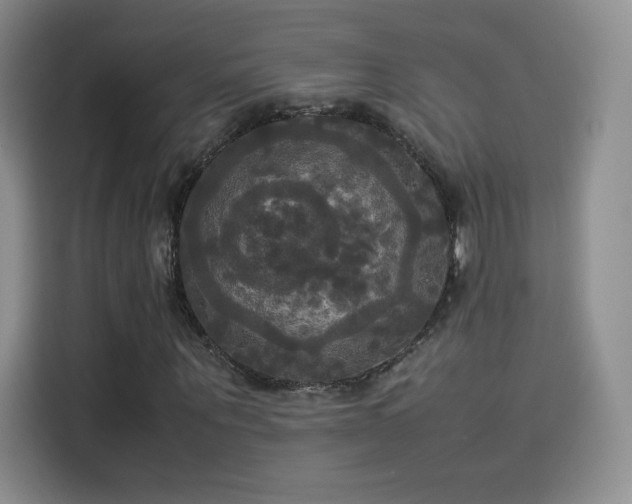 X0000114110867200910131341