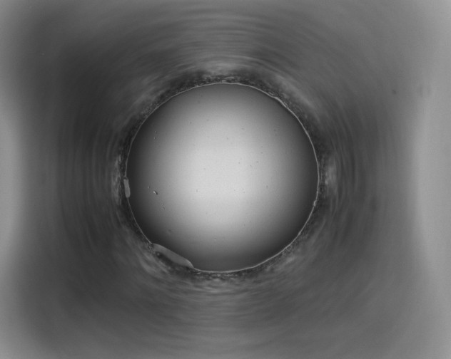 X0000114110868200910131341