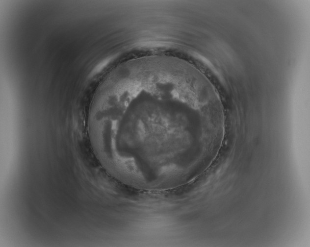 X0000114110871200910131341