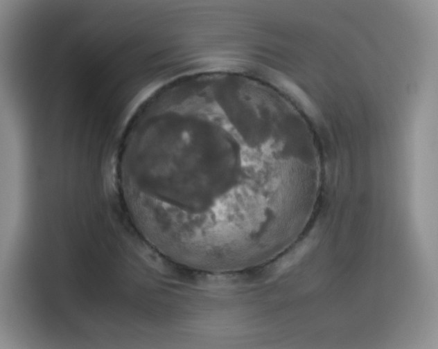 X0000114110875200910131340