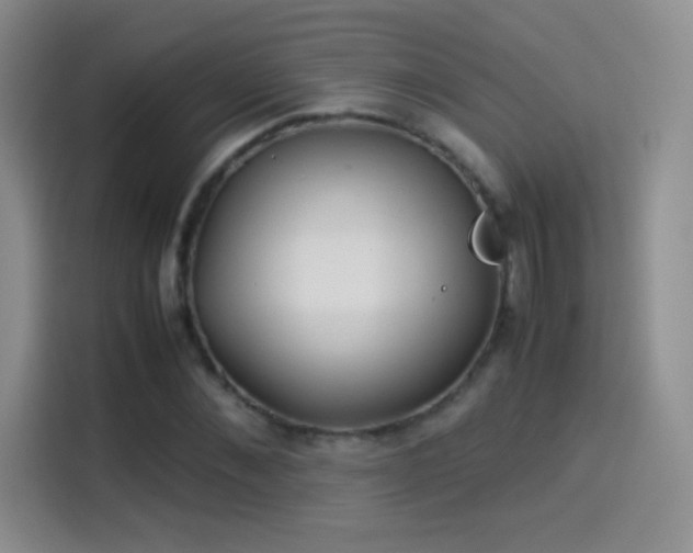 X0000114110876200910131340