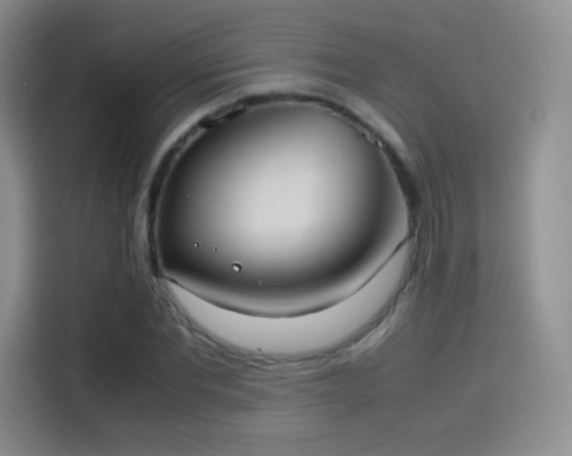 X0000114110877200910131340