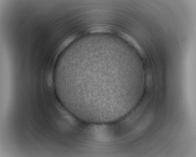 X0000114110882200910131340