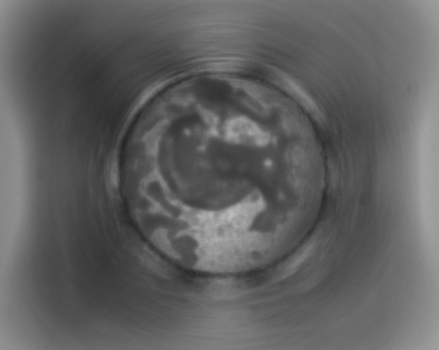 X0000114110883200910131340