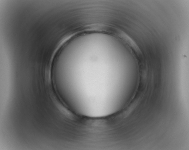 X0000114110884200910131340