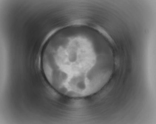 X0000114110886200910131340