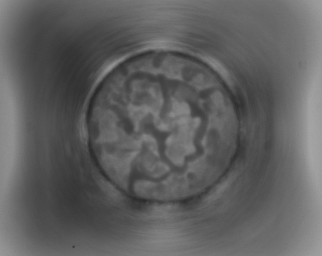 X0000114110887200910131340
